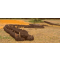 Erosion Control Quick Field Checklist