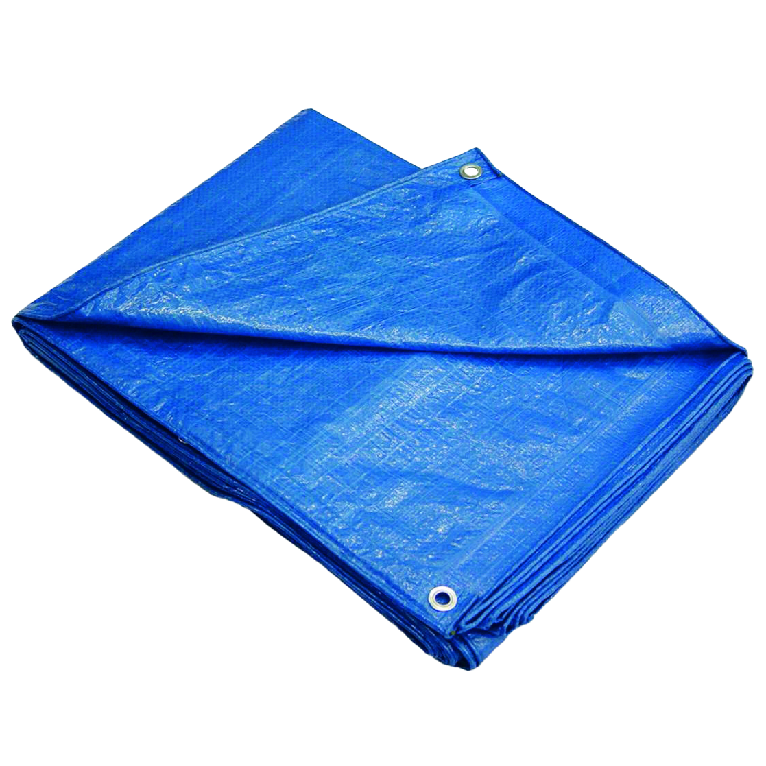 Tarps & Poly Sheeting