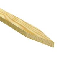 42159.jpg